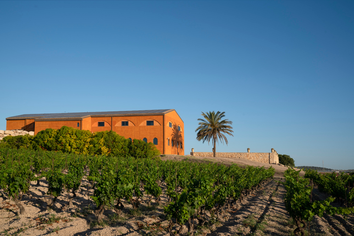 Feudo Maccari Feudo Maccari